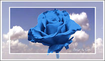 Digital Rose himmelblau von bilddesign-by-gitta