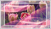 Digitaler Blumentraum 06 von bilddesign-by-gitta