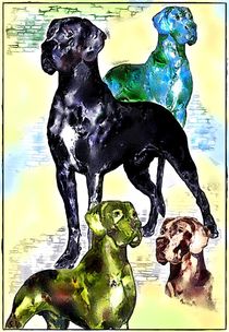 ~Colored Dogs~ von Sandra  Vollmann