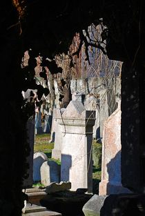 Alter Jüdischer Friedhof Zizkov in Prag... 18 by loewenherz-artwork