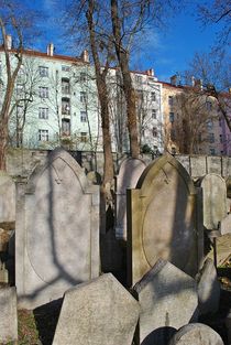 Alter Jüdischer Friedhof Zizkov in Prag... 14 von loewenherz-artwork