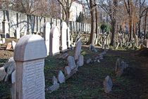 Alter Jüdischer Friedhof Zizkov in Prag... 10 von loewenherz-artwork