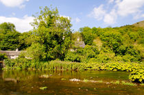 The River Wye at Upperdale von Rod Johnson