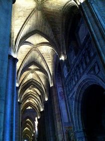 cathedrale by sylvie  léandre