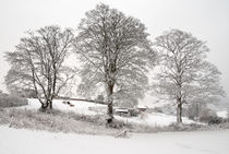 Wintery scene by Pete Hemington