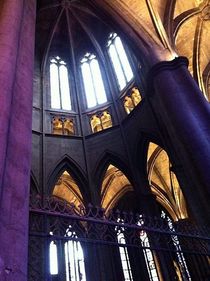 cathedrale by sylvie  léandre