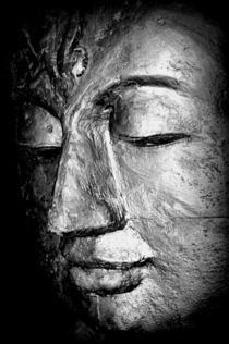 Buddha by sylvie  léandre