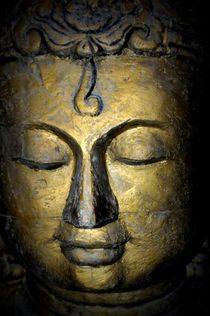 Buddha von sylvie  léandre