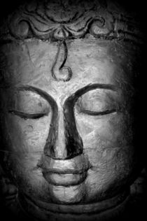 Buddha von sylvie  léandre
