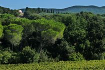 Green hills of Tuscany von heiko13
