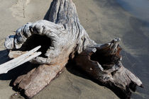 Driftwood by heiko13