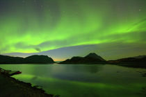 'Aurora borealis - Fjord auf den Lofoten' von gugigei