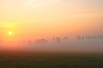 Bäume hinter dem Nebel by Bernhard Kaiser