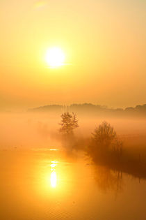 Sonne, Nebel, Spiegelung von Bernhard Kaiser