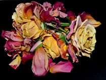 rose by sylvie  léandre