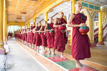 Monks in a monastery going for lunch in Myanmar by nilaya