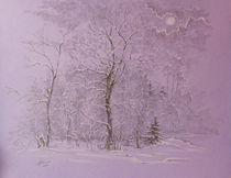Winter von Aleksandr Petrunin
