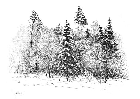 Winter-black-and-white