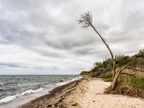 An der Küste der Ostsee by Rico Ködder