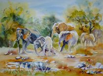 Der Weg der Elefanten von Claudia Pinkau