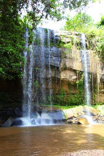 Traumhafter Wasserfall - Shedrick Falls von ann-foto