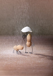 Simple Things - Schlechtes Wetter by Nailia Schwarz