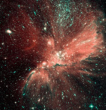 Infant stars in the Small Magellanic Cloud. von Stocktrek Images