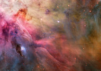 Orion Nebula by Stocktrek Images