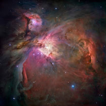 The Orion Nebula by Stocktrek Images