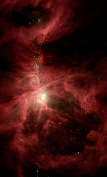 Orion's Inner Beauty by Stocktrek Images