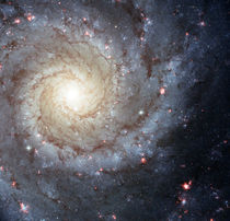 Spiral galaxy M74 by Stocktrek Images