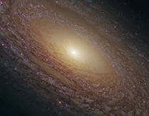 Spiral Galaxy NGC 2841 by Stocktrek Images