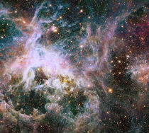 Star formation in the Tarantula Nebula. by Stocktrek Images