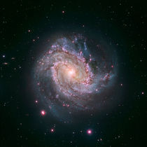 Barred spiral galaxy Messier 83. by Stocktrek Images