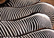 Zebrastreifen - stripes by gugigei