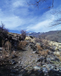 Sierra Nevada von Jeoma Flores