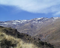 In der Sierra Nevada by Jeoma Flores