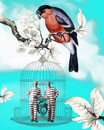 Jailbirds von Sherri Leeder