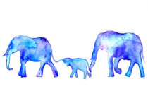 Blue elephants, watercolor elephants von Luba Ost