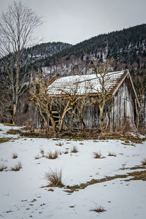 The old barn by Thomas Matzl