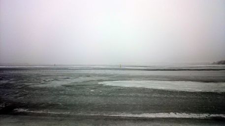 Winter-am-roskilde-fjord