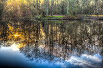 The Morning Pond Reflections by David Pyatt
