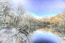 The Winters Day Pond von David Pyatt