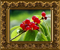 Berries von Yuri Hope