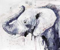 Elephant, watercolor, nature, animals by Luba Ost