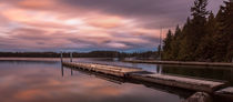 Comox Lake Vancouver Island by Leighton Collins