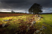 Approaching storm over Brecon, South Wales UK von Leighton Collins