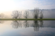 Bäume, Wasser und Nebel by Bernhard Kaiser