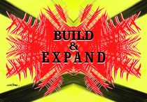 Build & E x p a n d von Vincent J. Newman