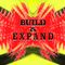 Build-and-expand-bst1-jpg